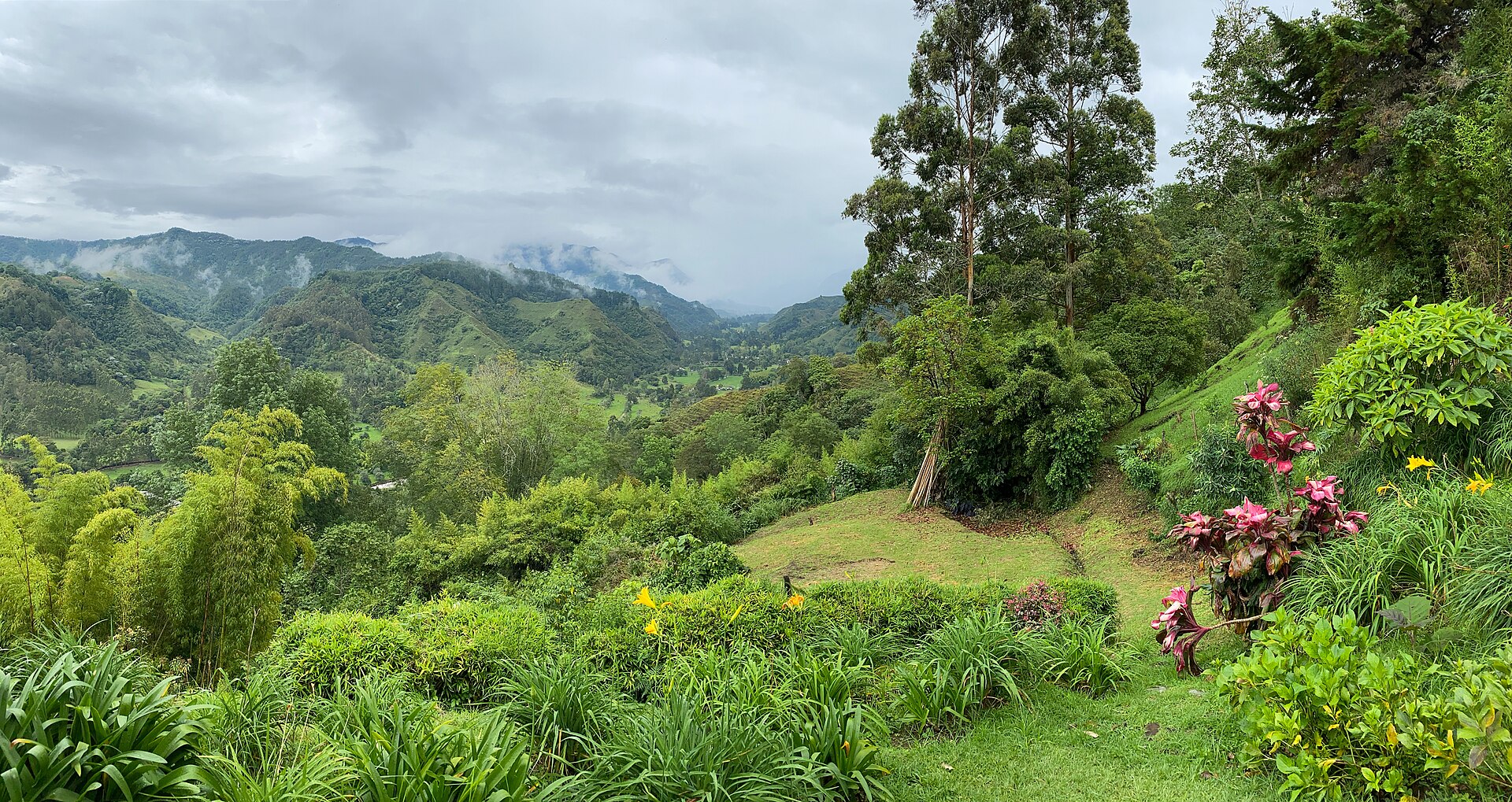 Montañas verdes del Valle de Cocora, Quindío.